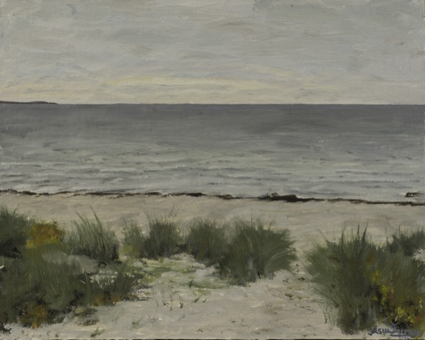 Dünen bei Kopenhagen